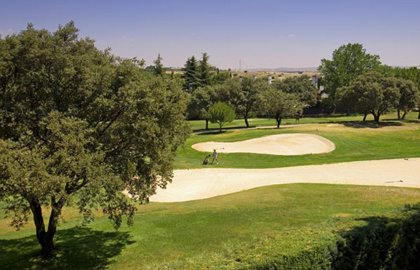 Ambassador VC8752 - Viviendas de lujo en Moraleja