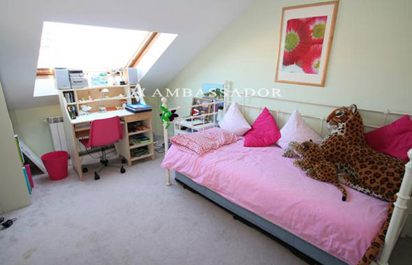 Ambassador. Referencia C9273.Página 4.