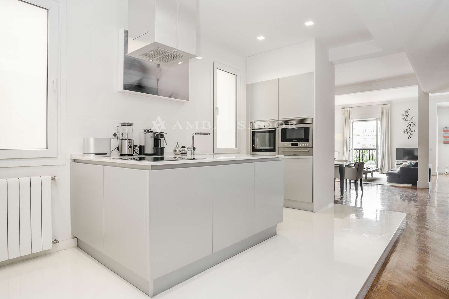 Ambassador. Referencia P15576.Página 4.