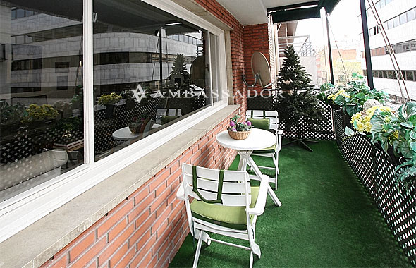 AMBASSADOR - Referencia P15768